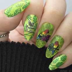 SFAC - Parrots in Paradise Nail Stamping Bundle