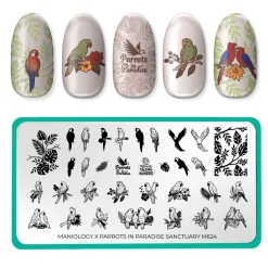 SFAC - Parrots in Paradise Nail Stamping Bundle