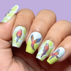SFAC - Parrots in Paradise Nail Stamping Bundle
