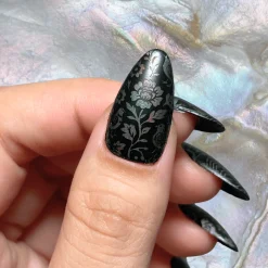Shell Inlay French (M689) - Nail Stamping Plate