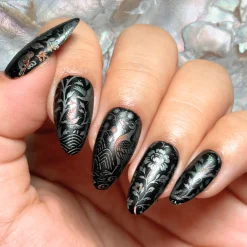 Shell Inlay French (M689) - Nail Stamping Plate