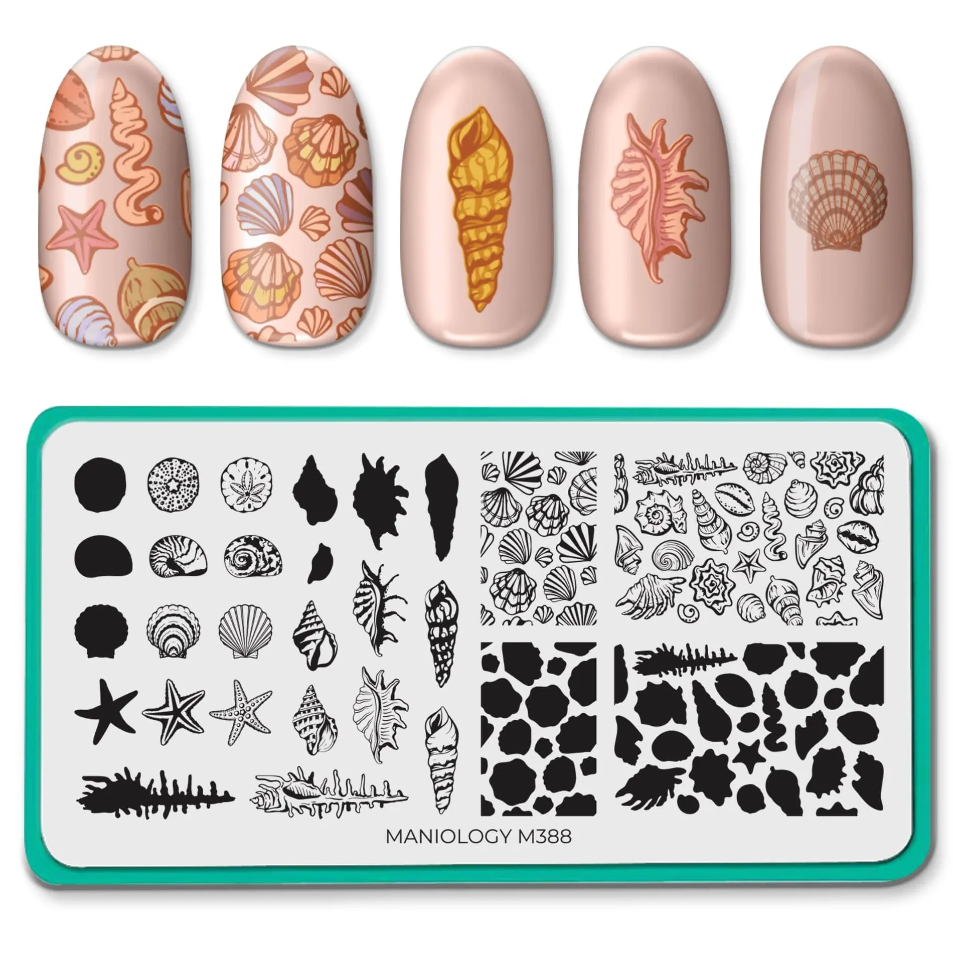 Shell Yeah! (M388) - Nail Stamping Plate