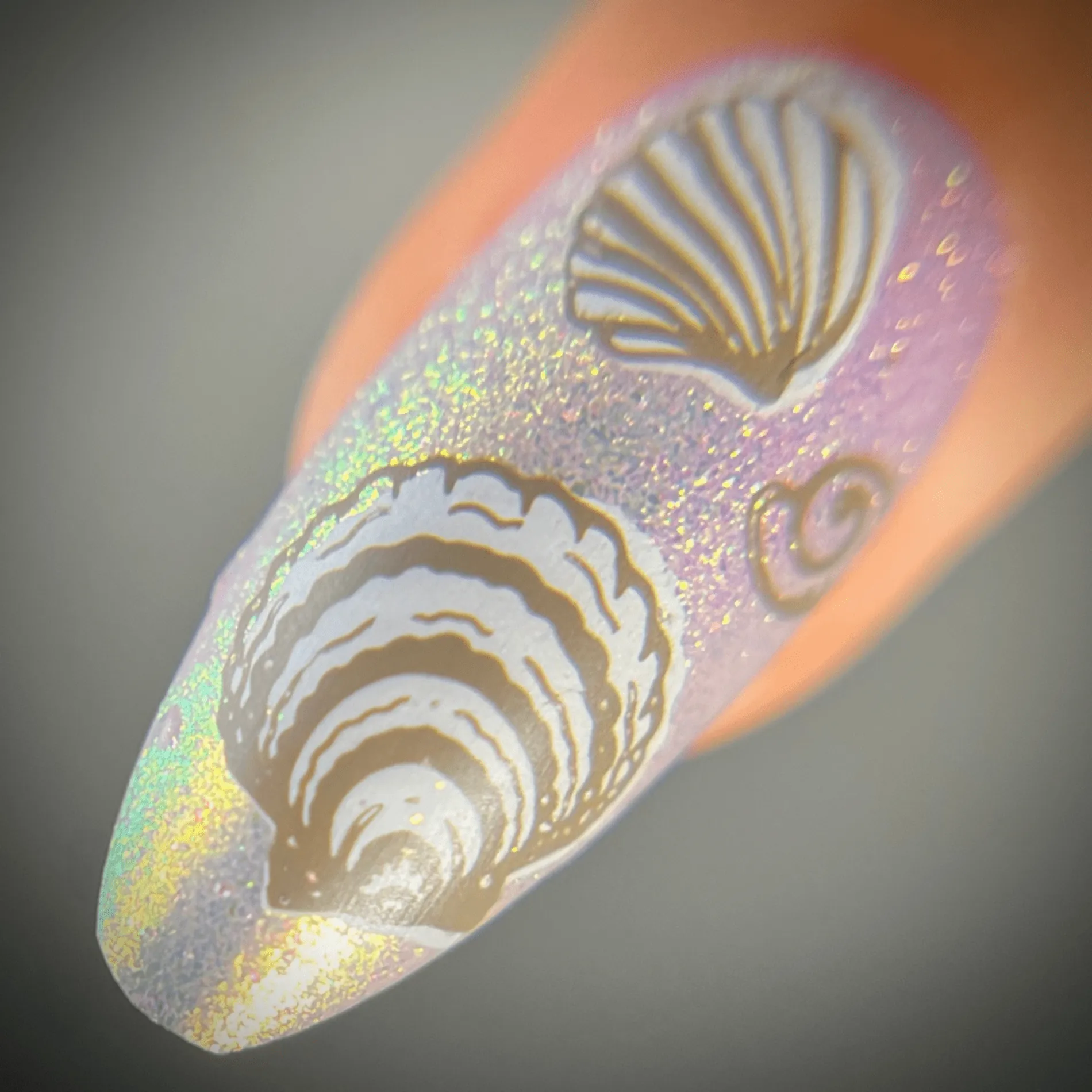 Shell Yeah! (M388) - Nail Stamping Plate