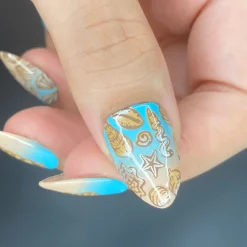 Shell Yeah! (M388) - Nail Stamping Plate