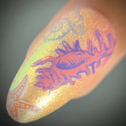 Shell Yeah! (M388) - Nail Stamping Plate