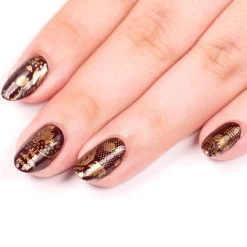 Spiced Orange (B248) - Metallic Copper Orange Stamping Polish