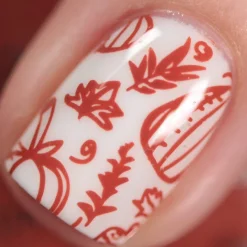 Sugar + Spice: Nutmeg (B352) - Clay Red-Orange Stamping Polish