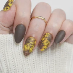Sunflower Fields (M602) - Nail Stamping Plate