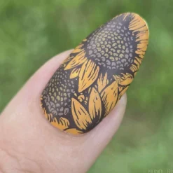 Sunflower Fields (M602) - Nail Stamping Plate