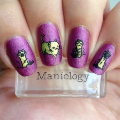 Thriller (B348) - Holographic Fuchsia Stamping Polish