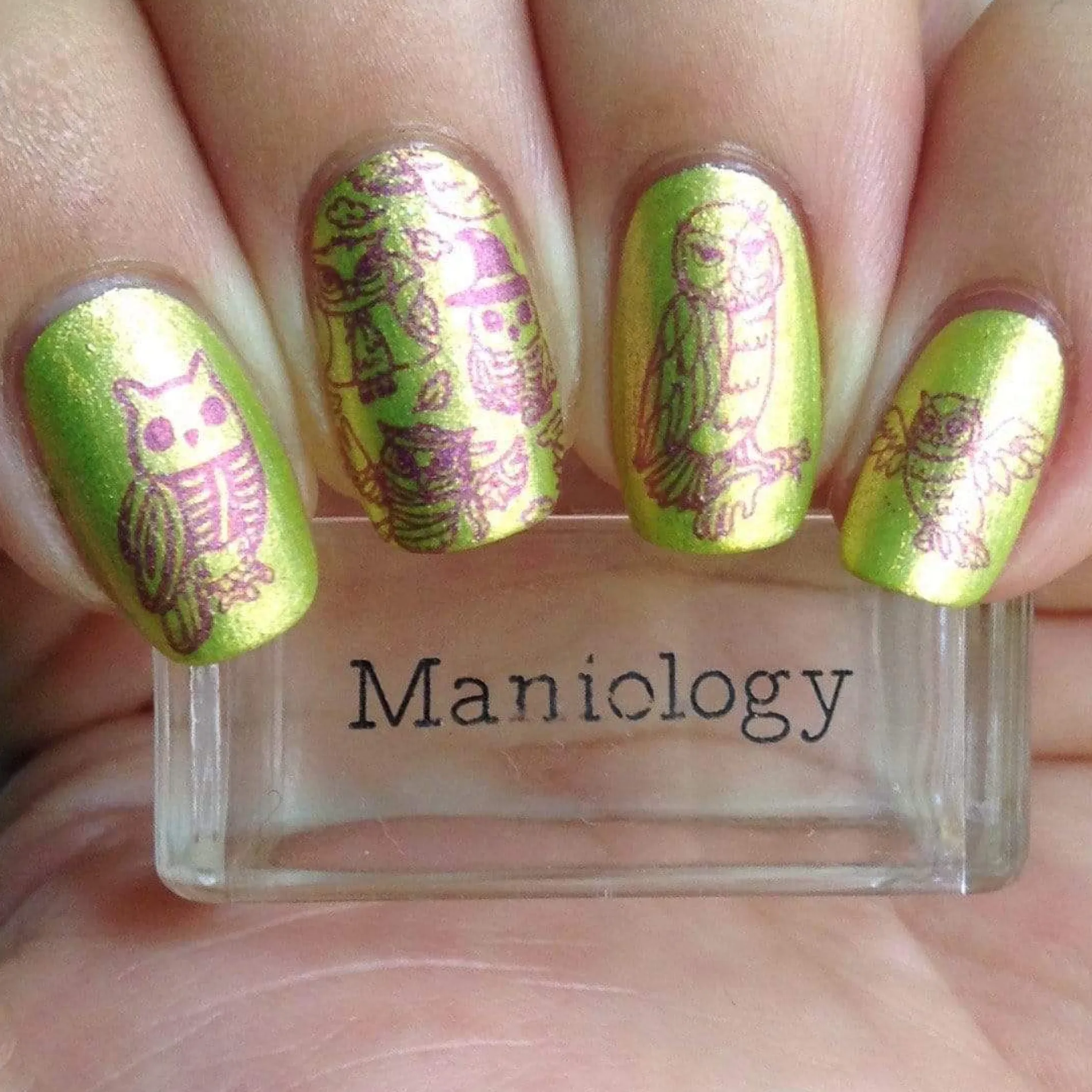 Thriller (B348) - Holographic Fuchsia Stamping Polish