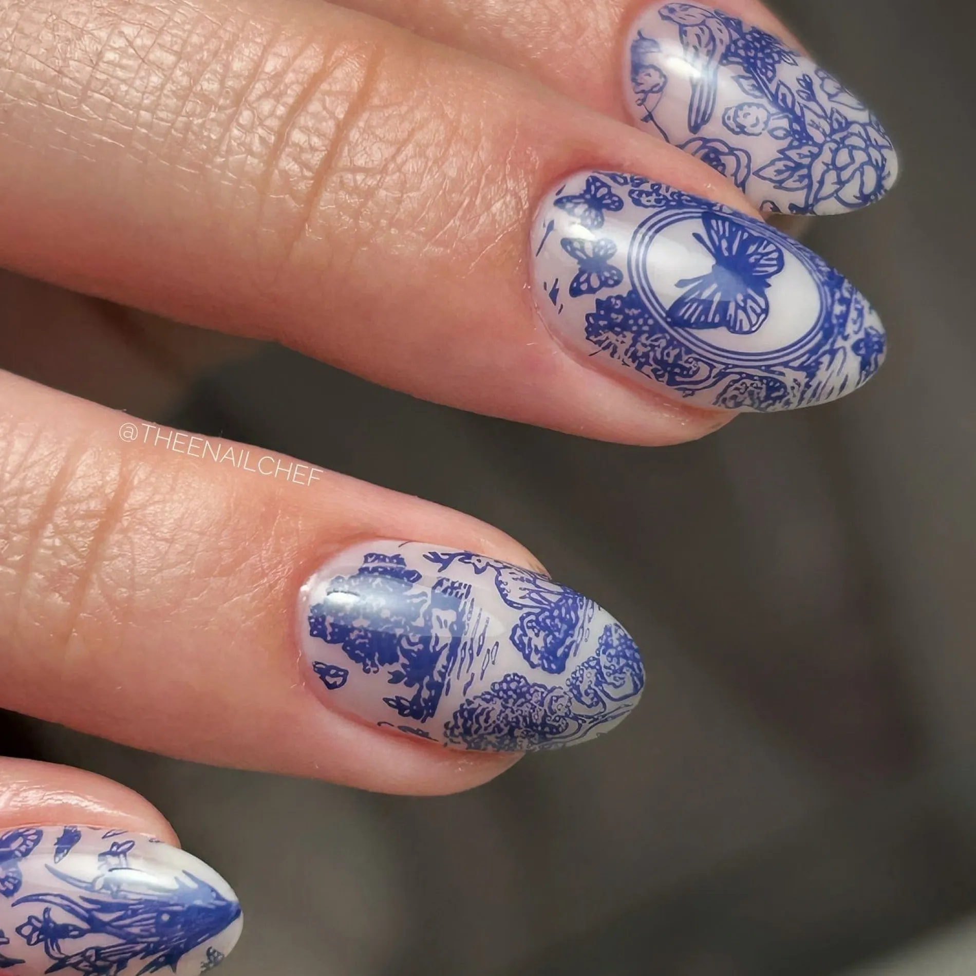 Toile De Jouy (M566) - Nail Stamping Plate
