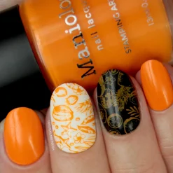 Tropicana: 3-Piece Cream Stamping Polish Set