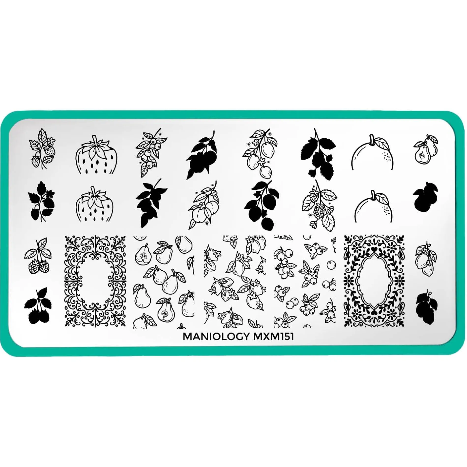 Tutti Frutti: Fruit Basket (MXM151) - Nail Stamping Plate