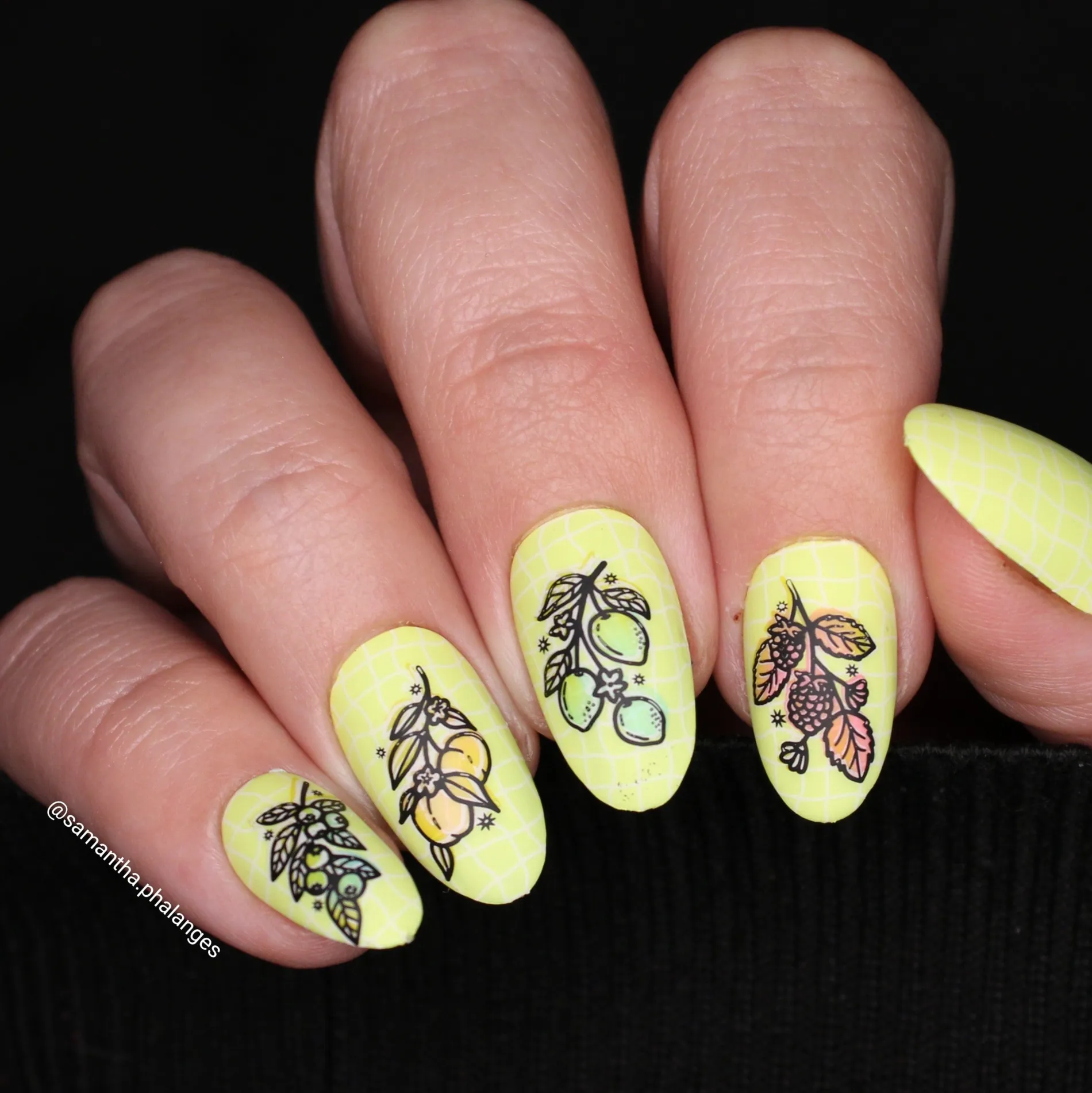 Tutti Frutti: Fruit Basket (MXM151) - Nail Stamping Plate