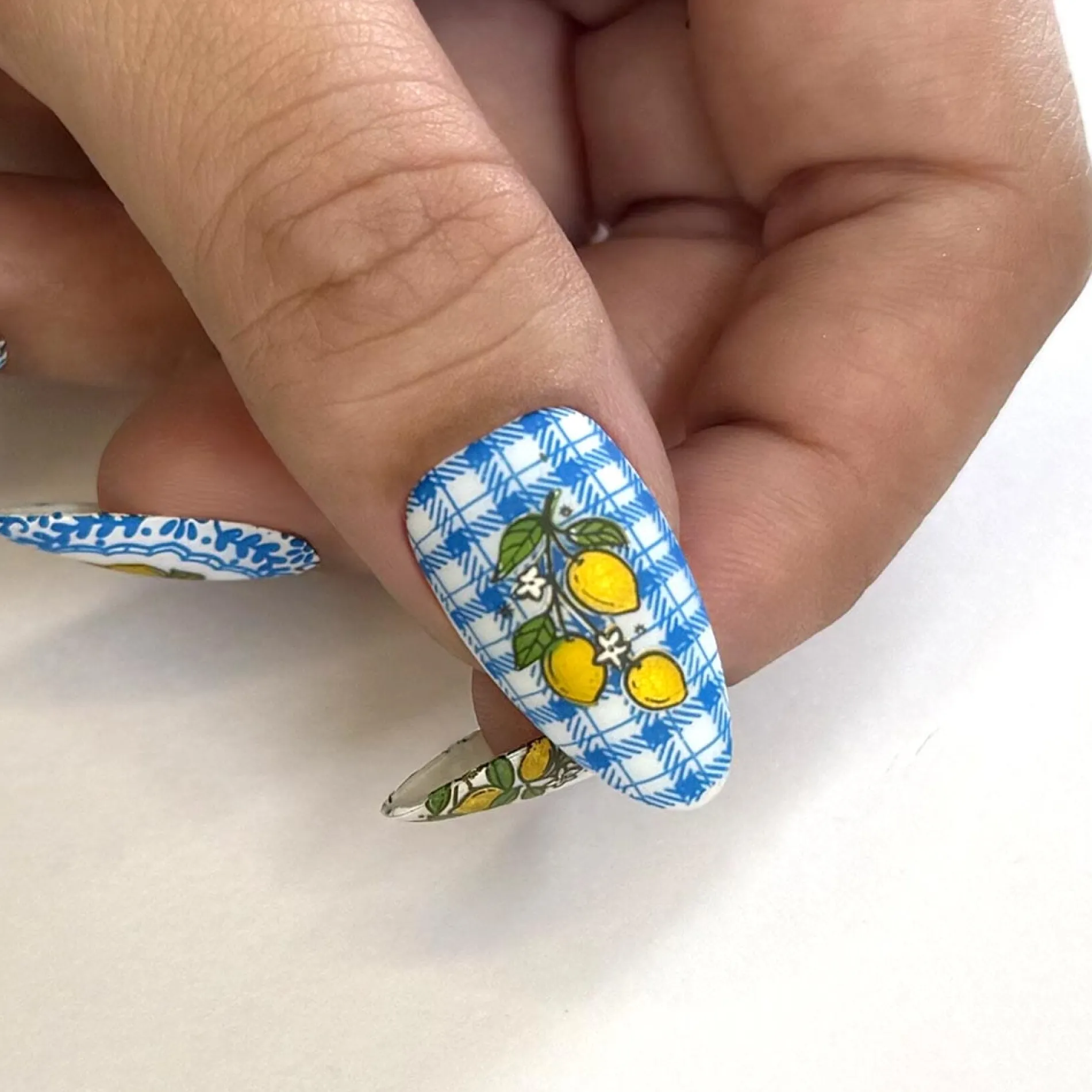 Tutti Frutti: Fruit Basket (MXM151) - Nail Stamping Plate