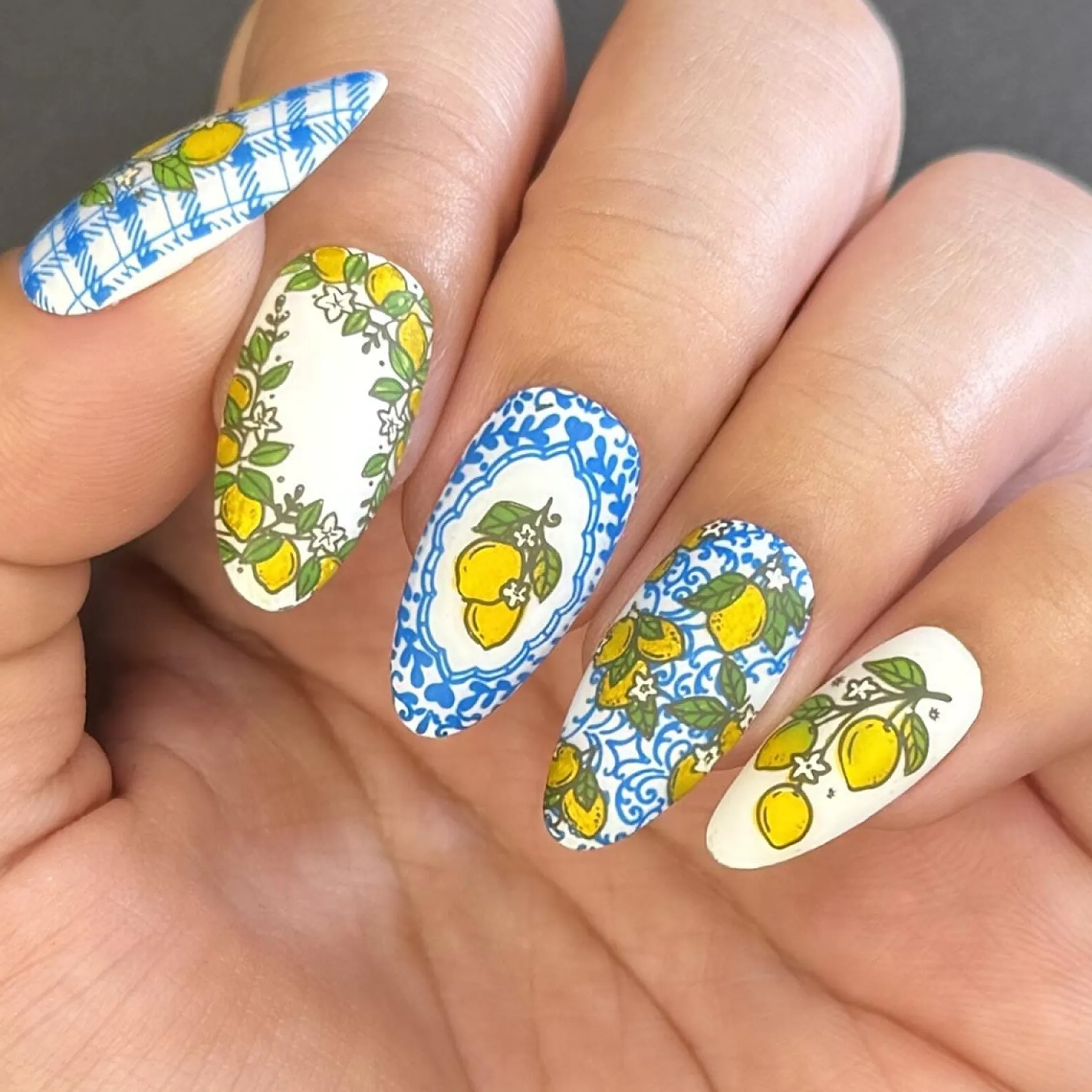 Tutti Frutti: Fruit Basket (MXM151) - Nail Stamping Plate