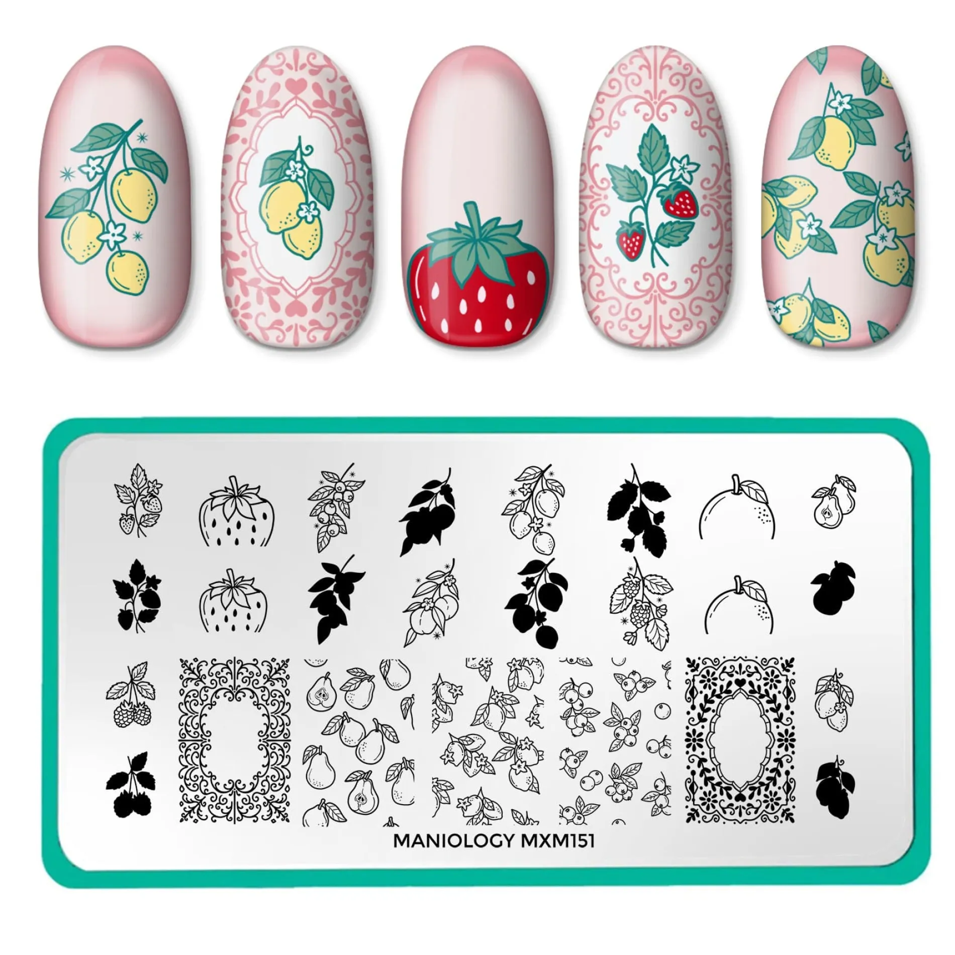 Tutti Frutti: Fruit Basket (MXM151) - Nail Stamping Plate