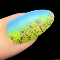 Wildflowers (M494) - Nail Stamping Plate
